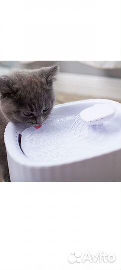 Поилка для животных