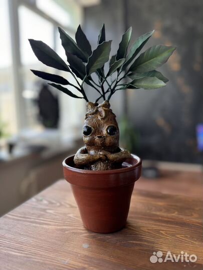 Корень Мандрагоры