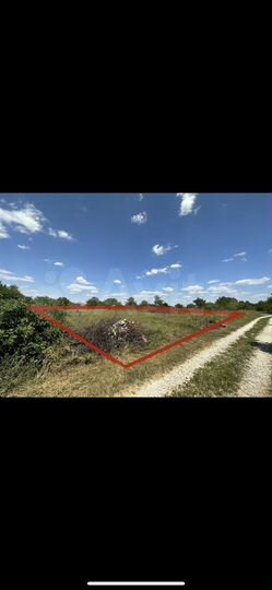 Участок 10 сот. (СНТ, ДНП)