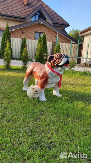 Щенки шпица белого цвета