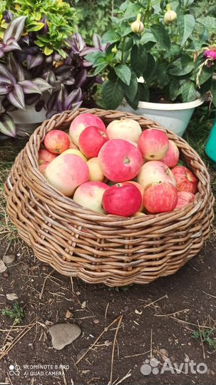 Корзина плетеная