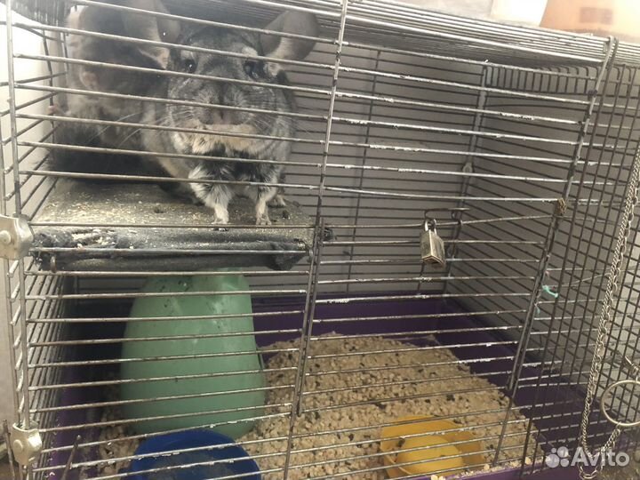 Клетка для грызунов