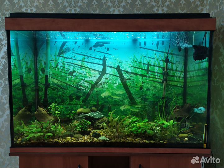 Аквариум 350л