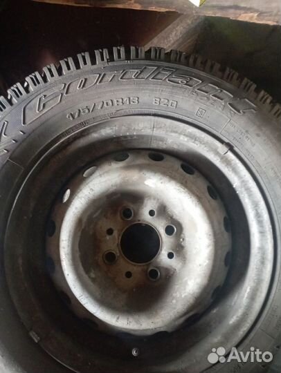 Cordiant Polar 175/70 R13