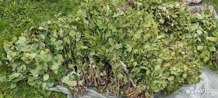 Веники для бани берёза,дуб