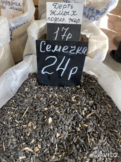 Пшеница, ячмень, кукуруза, горох, овес, семечка