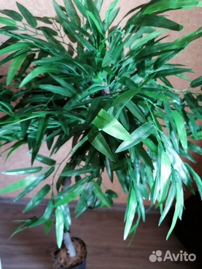 Искусственное дерево