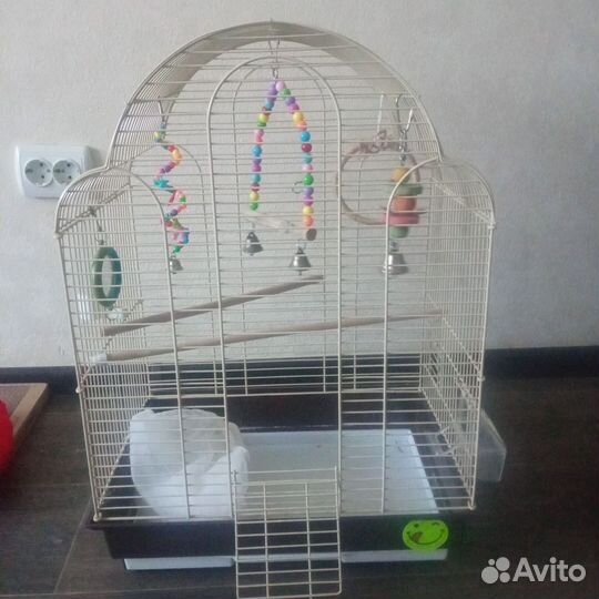 Клетка для крупного попугая