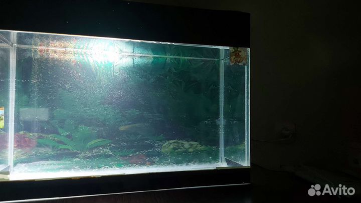 Аквариум 19 литров