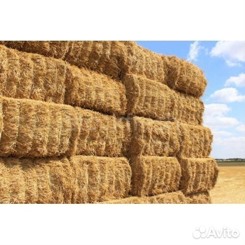 Сено и Солома