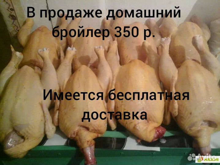 Утки белые,бройлеры