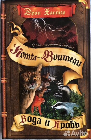 Коты воители 