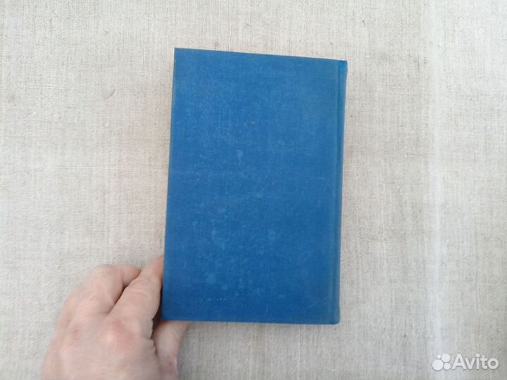 Дитер Нолль. Киппенберг. 1981 год