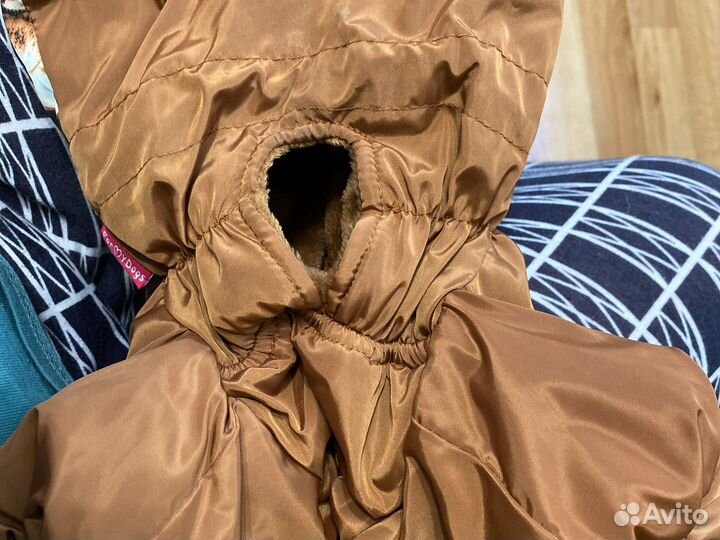 Одежда для собак