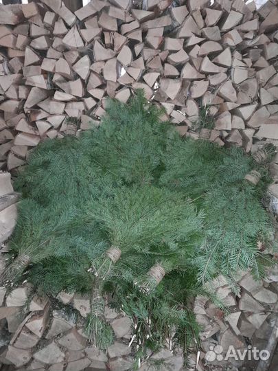 Пихтовый веник для бани