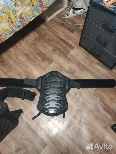 Моточерепаха