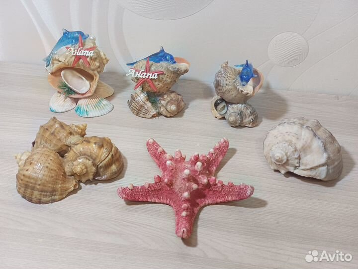 Сувениры из ракушек (ракушки, морская звезда)