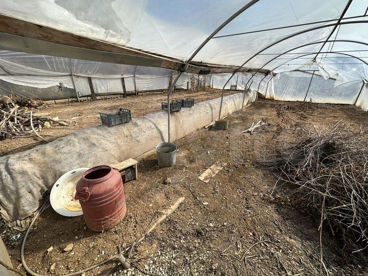 Участок 4,1 сот. (СНТ, ДНП)