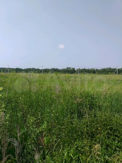 Участок 24 сот. (СНТ, ДНП)