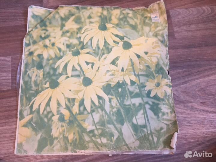 Пластинка винил Вокально-инструментальный ансамбль