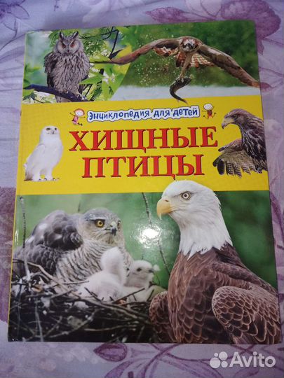Книга