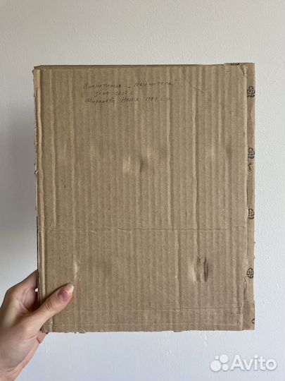 Цианотипия, картина, автор Анастасия Широкова