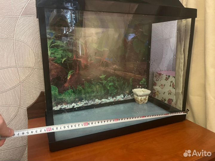 Аквариум