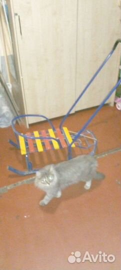 Детские санки