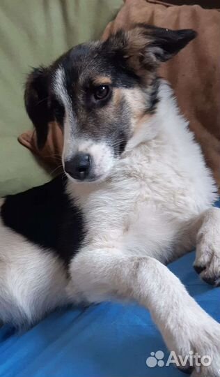 Маленькое чудо