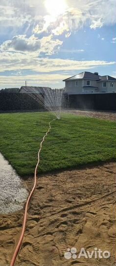 Газон от производителя