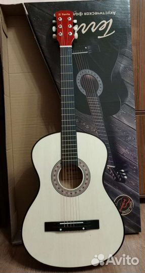 Аренда акустической и классической гитар