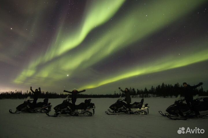 Северное сияние, Териберка, без посредников