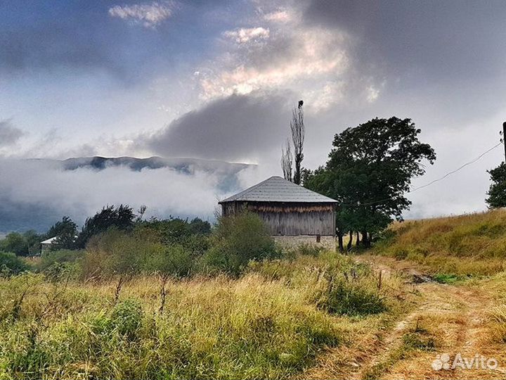 Экскурсия — Кутаиси — Летняя экскурсия на озеро Ша