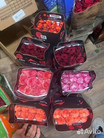 Цветы розы букеты