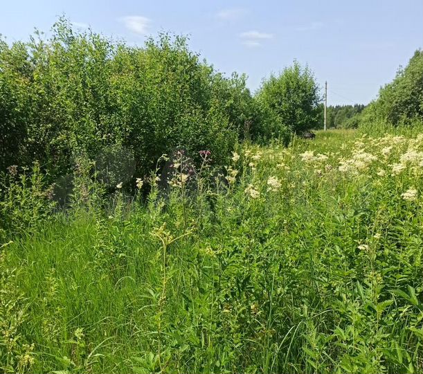 Участок 9 сот. (СНТ, ДНП)