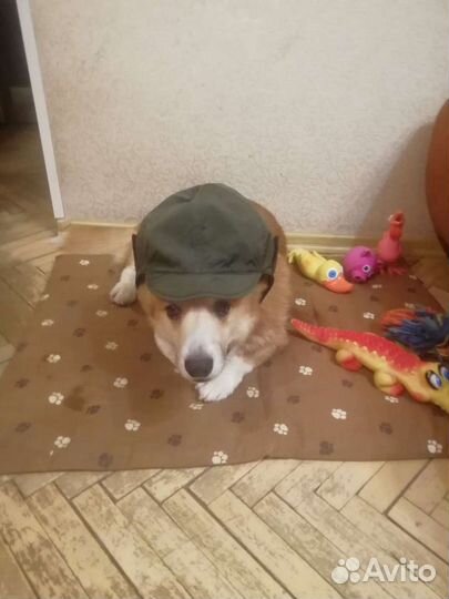 Германия Шапка детская тёплая на липучке