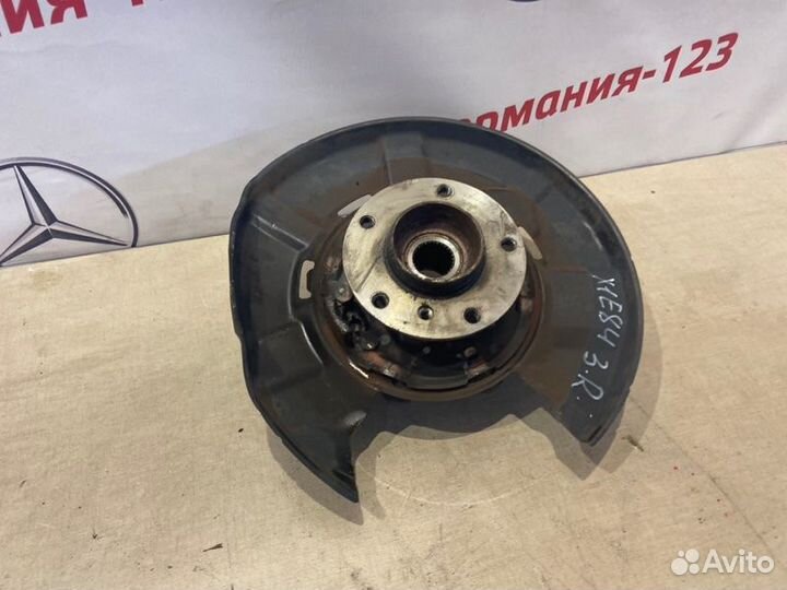 Цапфа задняя правая Bmw X1 E84 N20B20A 2011