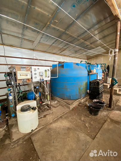 Продажа теплиц (цветы)