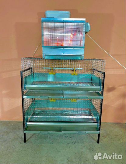 Клетка для бройлеров каркасная с брудером