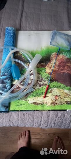 Аквариум
