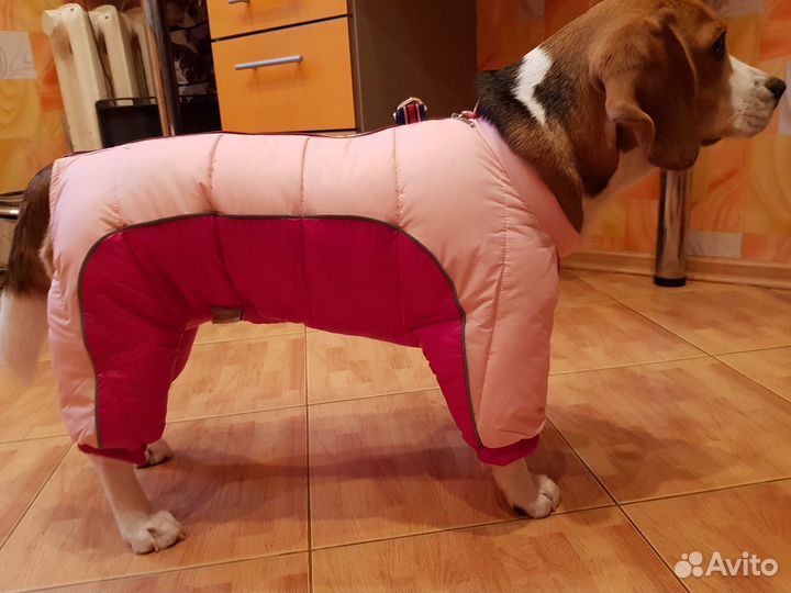 Комбинезон зимний для собаки