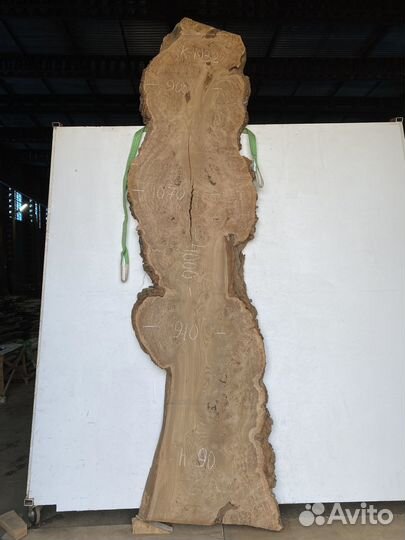 Слэбы карагач