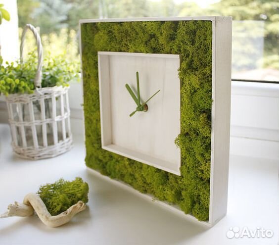 Стабилизированный мох (реклама)