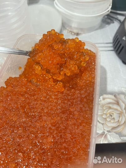 Красная икра2024