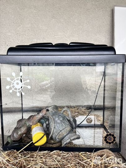 Аквариум для рыб