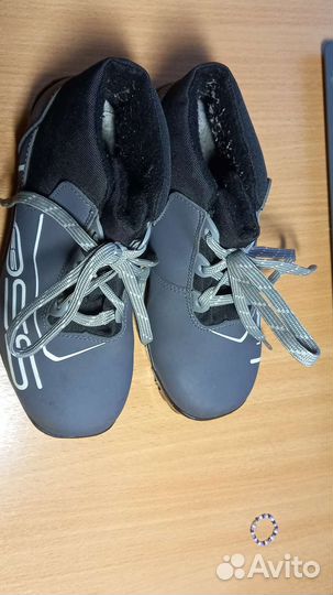 Лыжные ботинки spine