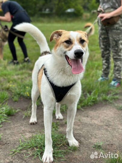 Очаровательный мальчик