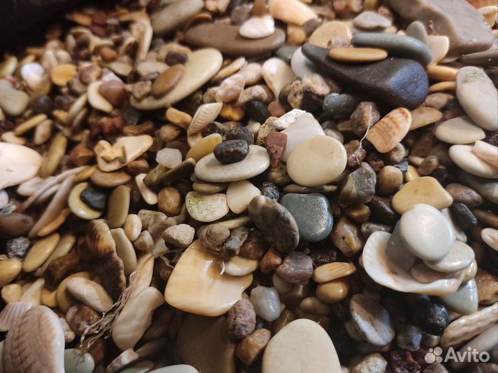 Аквариум 50 литров полный комплект под ключ