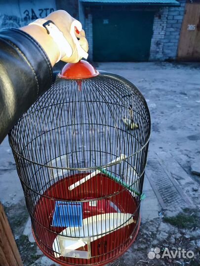 Клетка для попугая
