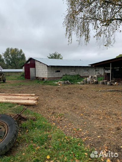 Животноводческая ферма